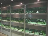 Aquarium